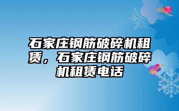 石家莊鋼筋破碎機(jī)租賃，石家莊鋼筋破碎機(jī)租賃電話