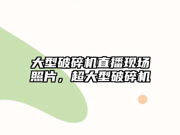 大型破碎機(jī)直播現(xiàn)場(chǎng)照片，超大型破碎機(jī)